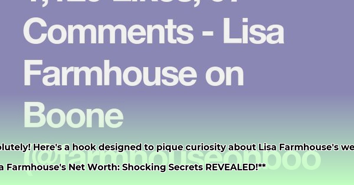 lisa-farmhouse-on-boone-net-worth